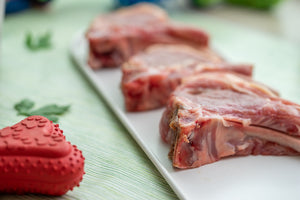 Crocchette pressate a freddo per cani FELICITÀ: Agnello, quinoa e barbabietola