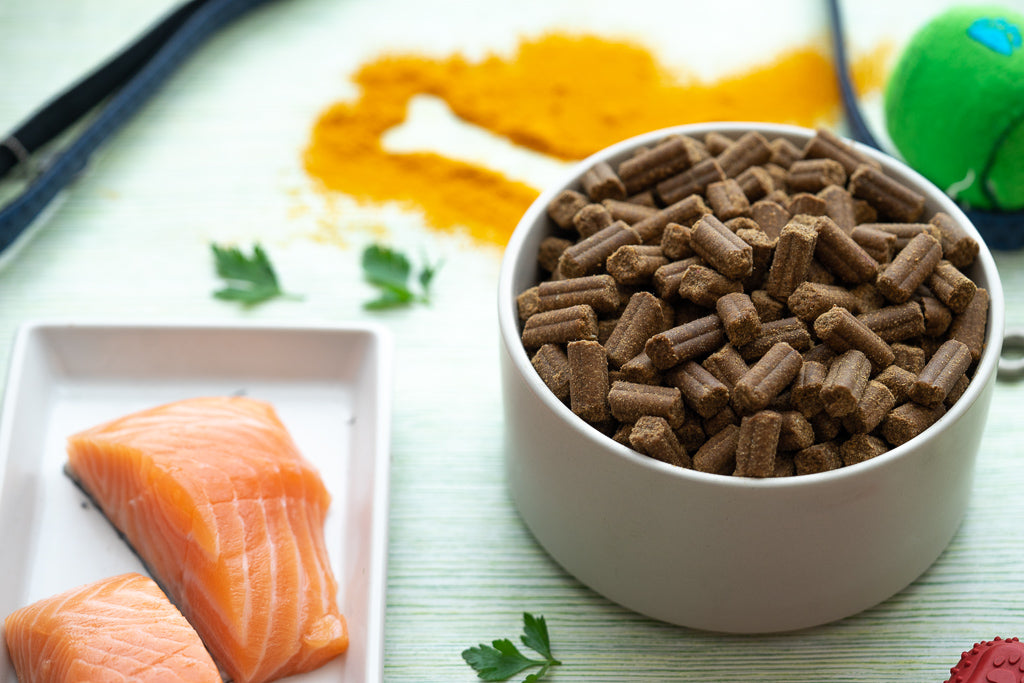 Crocchette pressate a freddo per cani ARMONIA: Salmone, finocchio e curcuma